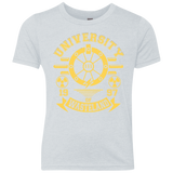 University of Wasteland Youth Triblend T-Shirt