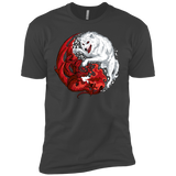 Ice and Fire Boys Premium T-Shirt