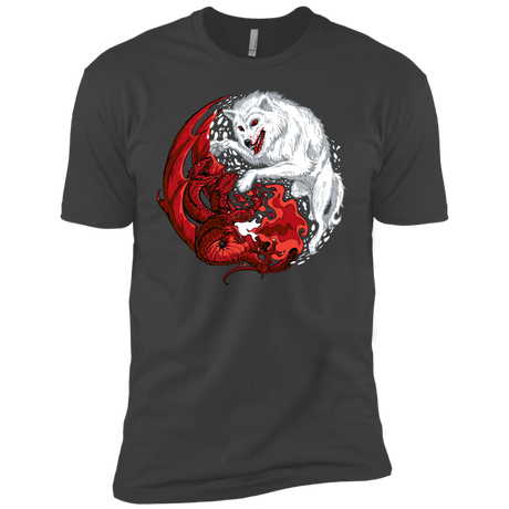 Ice and Fire Boys Premium T-Shirt