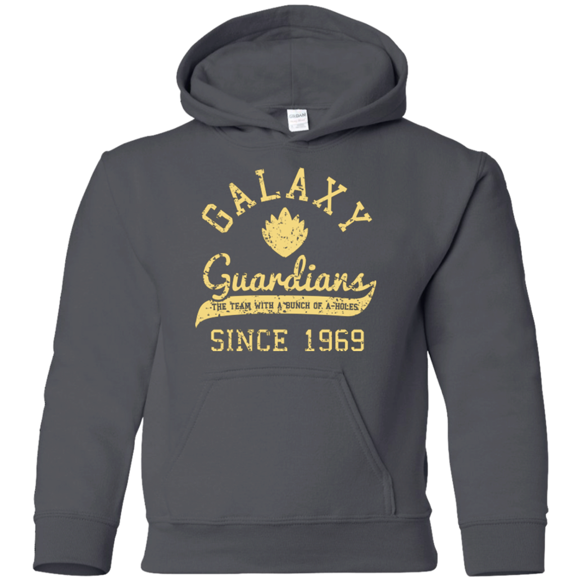 Guardians Since 1969 Youth Hoodie
