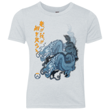 Hanzo Youth Triblend T-Shirt