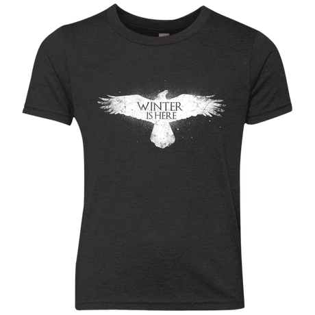 Winter is here Youth Triblend T-Shirt