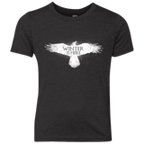 Winter is here Youth Triblend T-Shirt