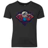 Steel Hero Youth Triblend T-Shirt