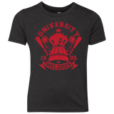 University of Melodies Youth Triblend T-Shirt