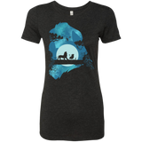 Lion Portrait Women's Triblend T-Shirt