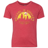 Welcome to Hogwarts Youth Triblend T-Shirt