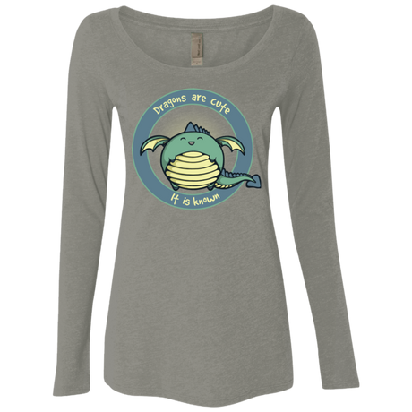 Dragons are Cute Women's Triblend Long Sleeve Shirt