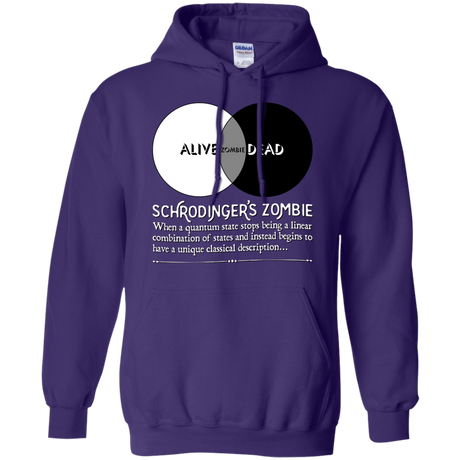 Schrödinger's Zombie Pullover Hoodie