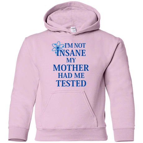 Not insane Youth Hoodie