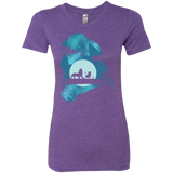 Lion Portrait Women's Triblend T-Shirt