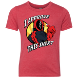 I Approve This Shirt Youth Triblend T-Shirt