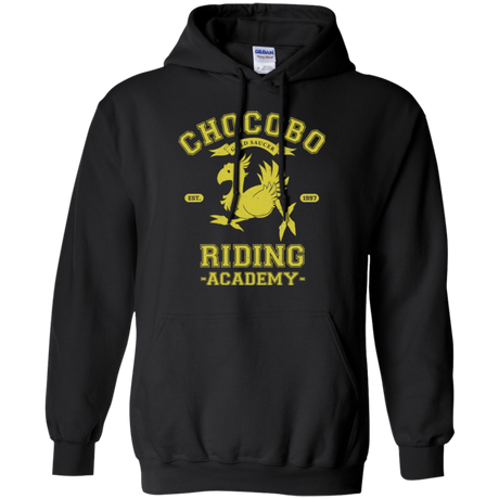 Riding Academy Pullover Hoodie