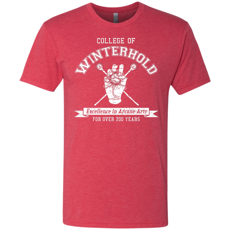 College of Winterhold Men's Triblend T-Shirt