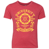 University of Wasteland Youth Triblend T-Shirt