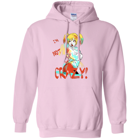 I'm not crazy! Pullover Hoodie