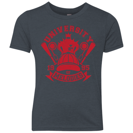 University of Melodies Youth Triblend T-Shirt