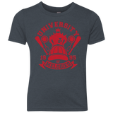 University of Melodies Youth Triblend T-Shirt