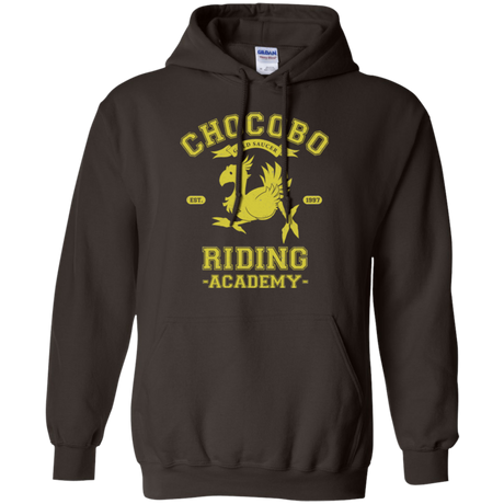 Riding Academy Pullover Hoodie