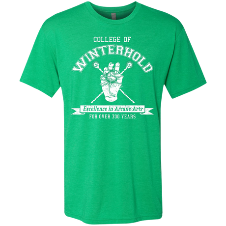 College of Winterhold Men's Triblend T-Shirt