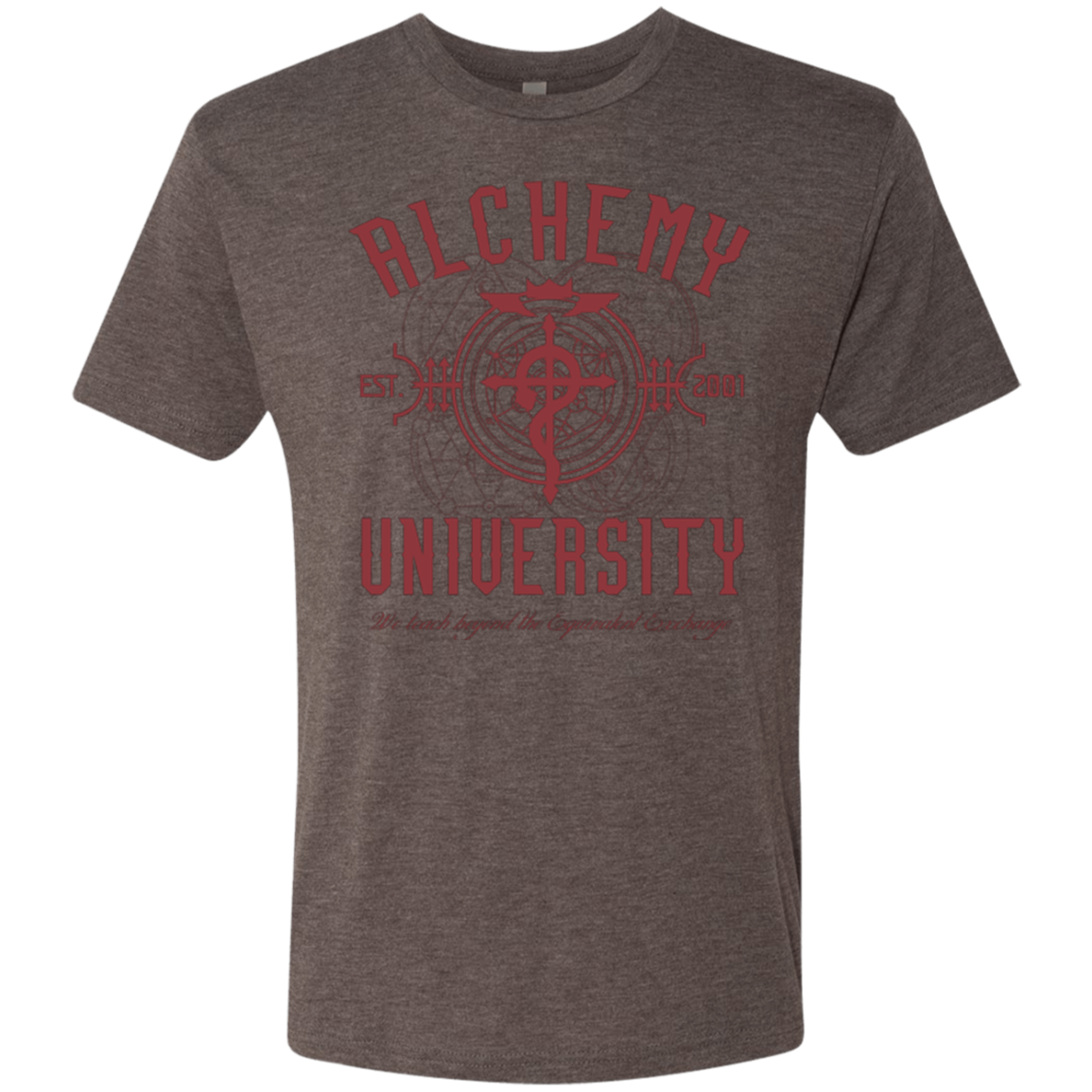 Alchemy University Men's Triblend T-Shirt