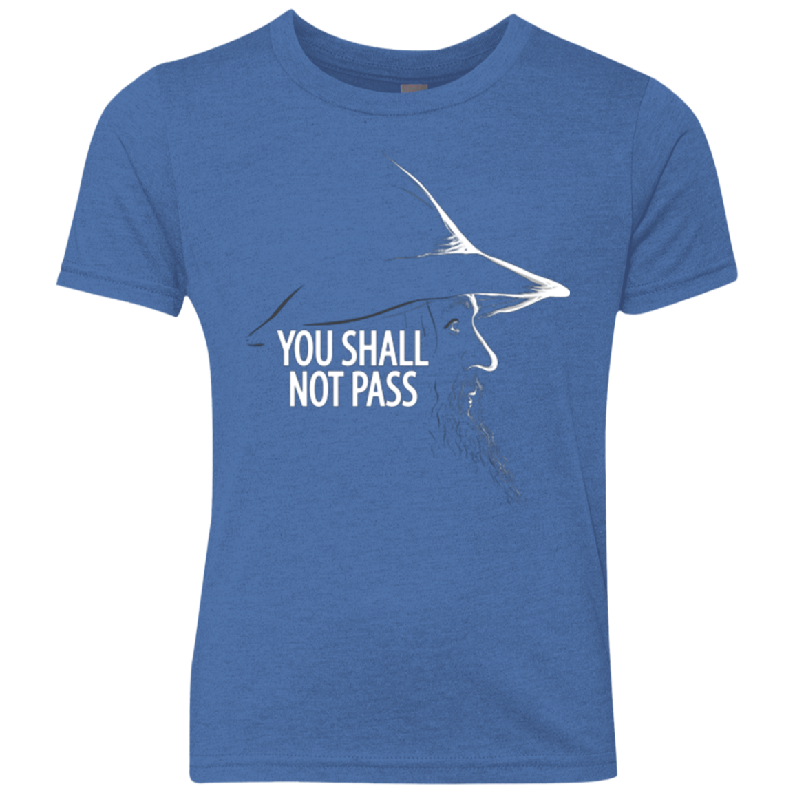 YOU SHALL NOT PASS (2) Youth Triblend T-Shirt