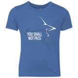 YOU SHALL NOT PASS (2) Youth Triblend T-Shirt