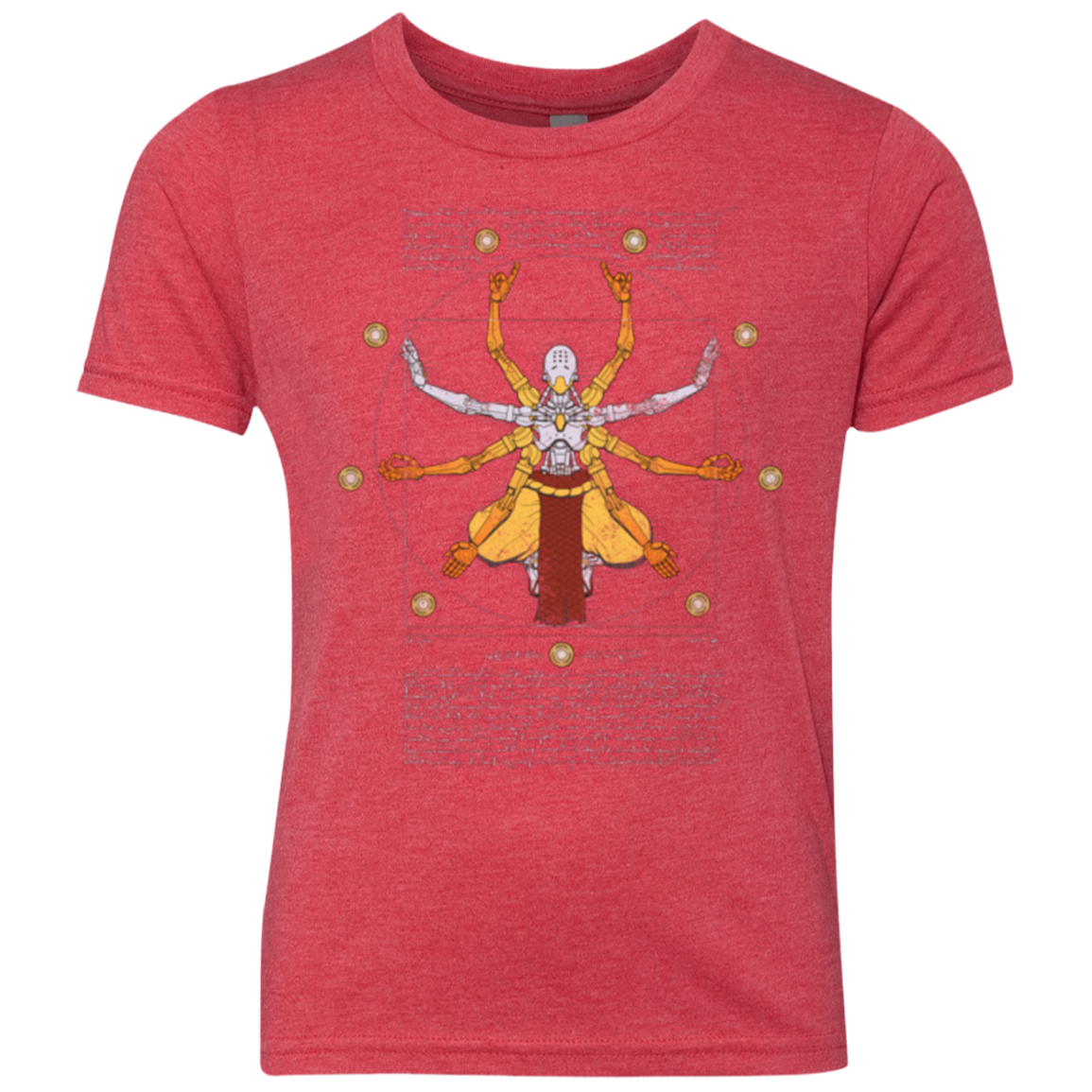 Vitruvian Omnic Youth Triblend T-Shirt