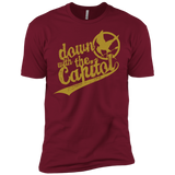 Down with the Capitol Men's Premium T-Shirt