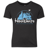 Wizneyland Youth Triblend T-Shirt