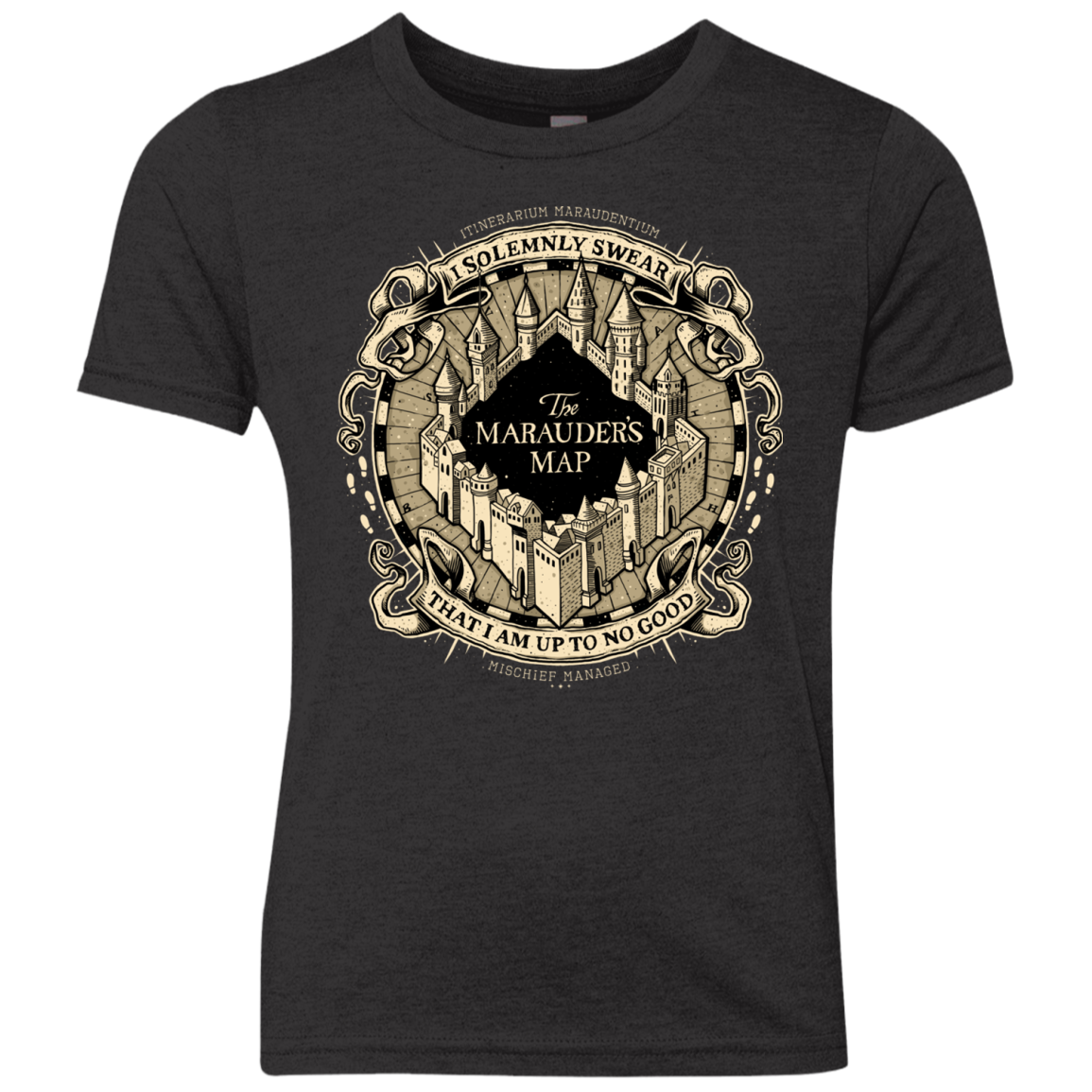 I Solemnly Swear Youth Triblend T-Shirt