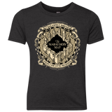 I Solemnly Swear Youth Triblend T-Shirt
