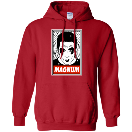 Ridiculously good looking Pullover Hoodie