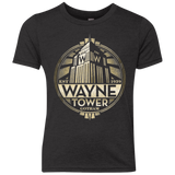 Wayne Tower Youth Triblend T-Shirt