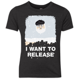 I Want to Release Youth Triblend T-Shirt
