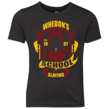 School of Slaying Youth Triblend T-Shirt