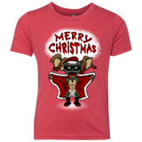 Flashing Through The Snow Youth Triblend T-Shirt