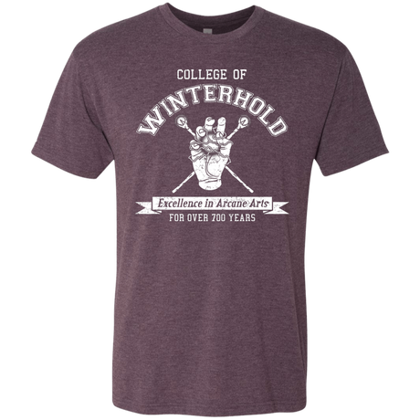 College of Winterhold Men's Triblend T-Shirt