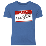I am Groot Youth Triblend T-Shirt