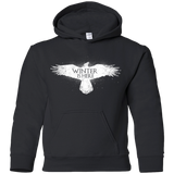 Winter is here Youth Hoodie