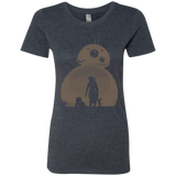 Desert Women's Triblend T-Shirt