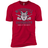 Winterfell U Boys Premium T-Shirt