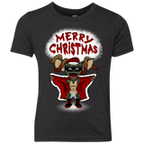 Flashing Through The Snow Youth Triblend T-Shirt