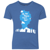 Places Youll See Youth Triblend T-Shirt