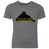 Wakandas Pride Youth Triblend T-Shirt