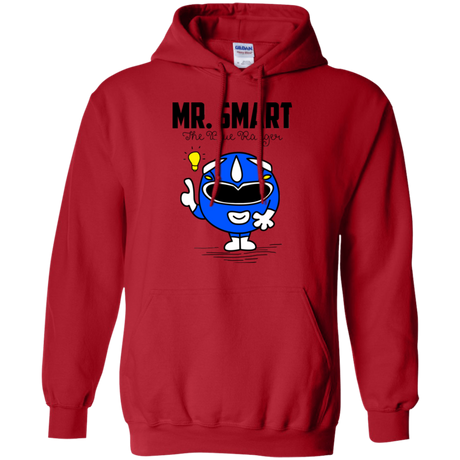 Mr Smart Pullover Hoodie