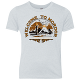 Welcome to Mordor Youth Triblend T-Shirt