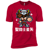 ChibiPegasus Boys Premium T-Shirt