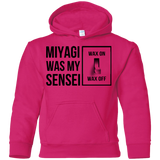 My Sensei Youth Hoodie