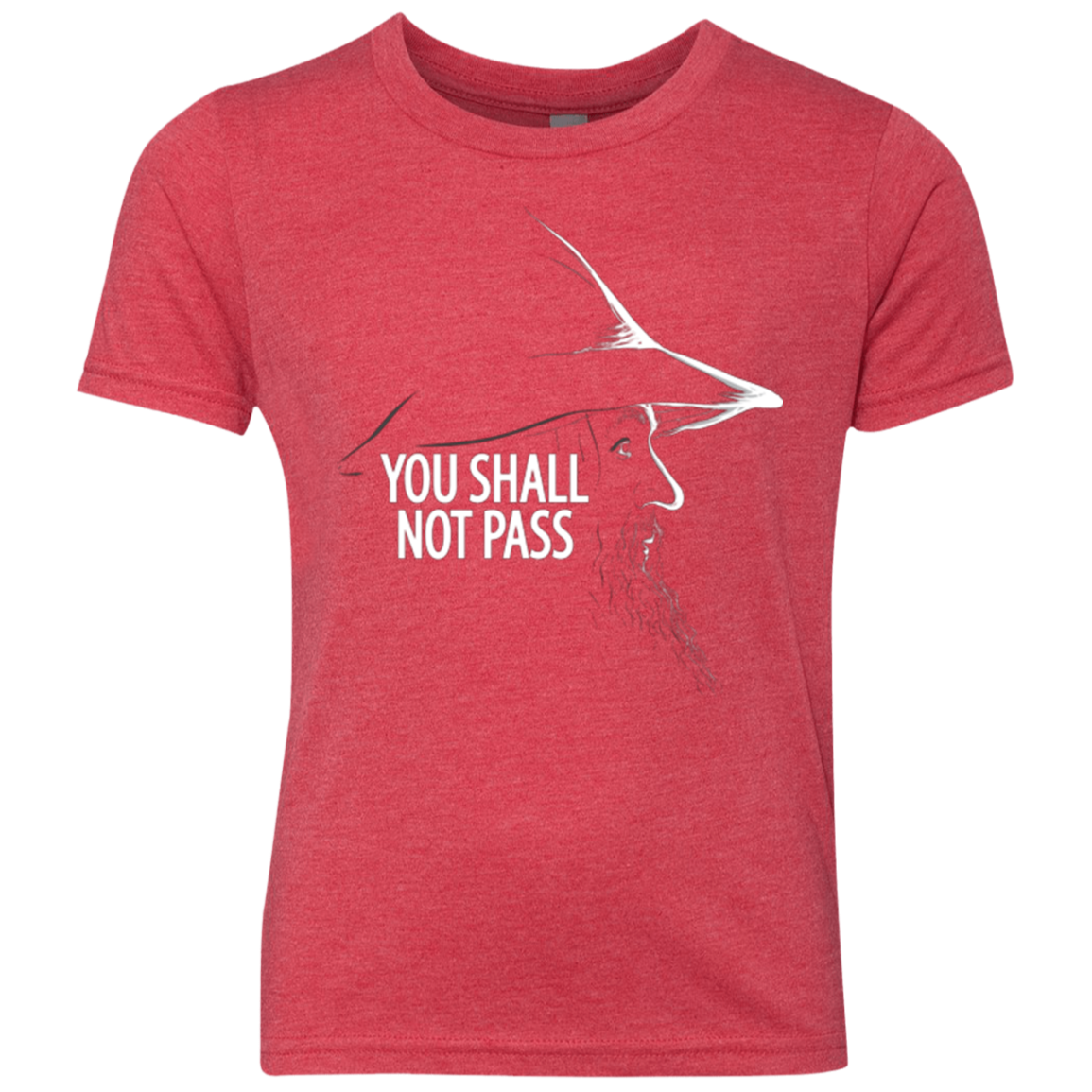 YOU SHALL NOT PASS (2) Youth Triblend T-Shirt